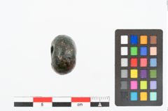 Foto von Bronzeringperle (NHMW-PRAE-025198)